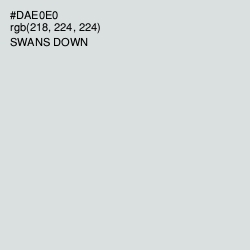 #DAE0E0 - Swans Down Color Image
